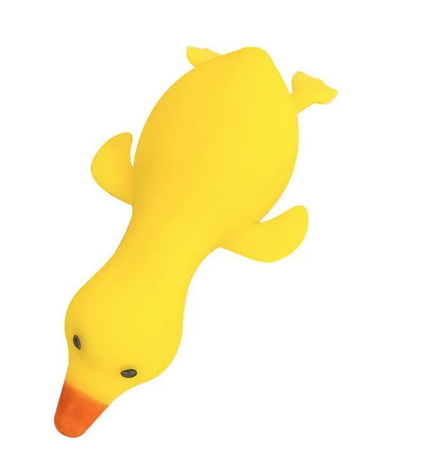 Duck Squeeze Toy